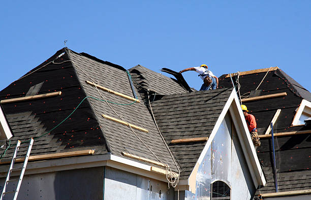 Best Local Roofing Companies  in Wilson, WY