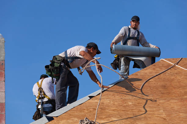 Best Residential Roof Replacement  in Wilson, WY